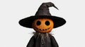 Scarecrow figure with a pumpkin head and a black wizard hat on a white isolated background Royalty Free Stock Photo