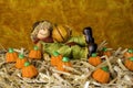 Scarecrow Figurine Royalty Free Stock Photo