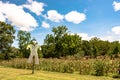 Scarecrow in front of a summer garden of corn Royalty Free Stock Photo