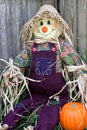 Scarecrow in Garden 1