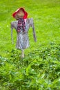 Scarecrow in green field