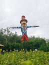 Scarecrow guarding sunflower fields, Thailand