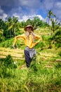 Scarecrow in Jatiluwih paddy field rice terraces, Bali, Indonesia Royalty Free Stock Photo