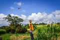 Scarecrow in Jatiluwih paddy field rice terraces, Bali, Indonesia Royalty Free Stock Photo