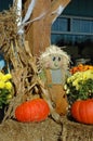 Scarecrow man doll display Royalty Free Stock Photo