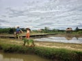 Scarecrow man and woman stand together at rice fields Royalty Free Stock Photo