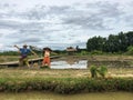 Scarecrow man and woman stand together at rice fields Royalty Free Stock Photo