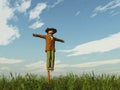 Scarecrow in the middle of a wheat field on a sunny day