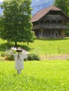 Scarecrow on organic farm