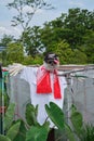 Scarecrow placed in a field, wearing a hat, t-shirt, and a scarf