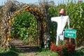 Scarecrow Pointing to Corn Maze Royalty Free Stock Photo