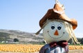 Scarecrow at the pumpkin field Royalty Free Stock Photo