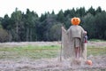Scarecrow pumpkin head in field Royalty Free Stock Photo