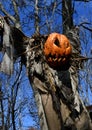 Scarecrow Pumpkin Royalty Free Stock Photo