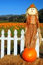 A scarecrow and pumpkin