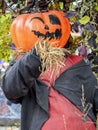 Scarecrow in ragged clothing with a classic pumpkin head