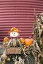 A Scarecrow Reminds Viewers to Give Thanks Royalty Free Stock Photo