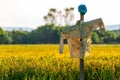 Scarecrow and rice ears in a paddy field Royalty Free Stock Photo