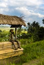 Scarecrow at rice fields of Jatiluwih in southeast Bali Royalty Free Stock Photo