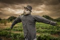 Scarecrow with a scary look at a farm with storm clouds