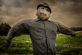 Scarecrow with a scary look at a farm with storm clouds