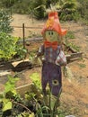 Scarecrow at special site with wooden boxes, where primary school students may learning about agriculture Royalty Free Stock Photo