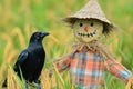 A scarecrow stands in a green field, with a crow perched on its shoulder Royalty Free Stock Photo