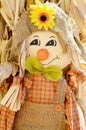 Scarecrow with Sunflower Royalty Free Stock Photo