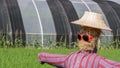 Scarecrow with sunglassed in paddy field Royalty Free Stock Photo