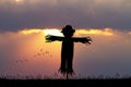 Scarecrow at sunset Royalty Free Stock Photo