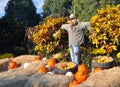 Scarecrow surrounded by pumpkins and hay Royalty Free Stock Photo