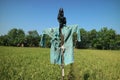 Scarecrow to repel pests in rice fields