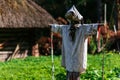 Scarecrow and traditional hut Royalty Free Stock Photo