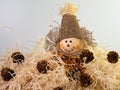 Scarecrow up close sitting on a pile of hay with little brown pine cones scattered around, with a white background. Festive fall