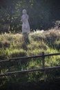 Scarecrow in a vegetable garden in a countryside Royalty Free Stock Photo