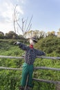 Scarecrow in a vegetable garden in a countryside