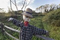 Scarecrow in a vegetable garden in a countryside Royalty Free Stock Photo