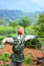 Scarecrow In A Vegetable Garden In Sri Lanka Royalty Free Stock Photo