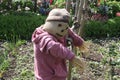 Scarecrow in a vegetable garden