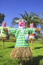 Scarecrows Royalty Free Stock Photo