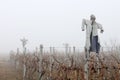 Scarecrows in the Fog Royalty Free Stock Photo