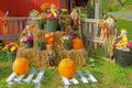 scarecrows, pumpkins, hay bales and Chrysanthemums in Fall at Vermont farm store Royalty Free Stock Photo