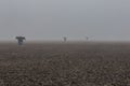 Scarecrows in misty farmland