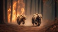 Scared bear family runs away from forest fire, largest wildfire in woods natural disaster