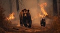 Scared bear family runs away from forest fire, largest wildfire in woods natural disaster