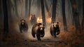 Scared bear family runs away from forest fire, largest wildfire in woods natural disaster