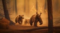 Scared bear family runs away from forest fire, largest wildfire in woods natural disaster