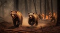 Scared bear family runs away from forest fire, largest wildfire in woods natural disaster