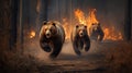 Scared bear family runs away from forest fire, largest wildfire in woods natural disaster