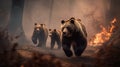 Scared bear family runs away from forest fire, largest wildfire in woods natural disaster